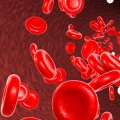 Image showing vibrant red blood cells flowing through veins, highlighting one of the benefits of Thai massage, which helps improve blood circulation and promotes overall well-being.