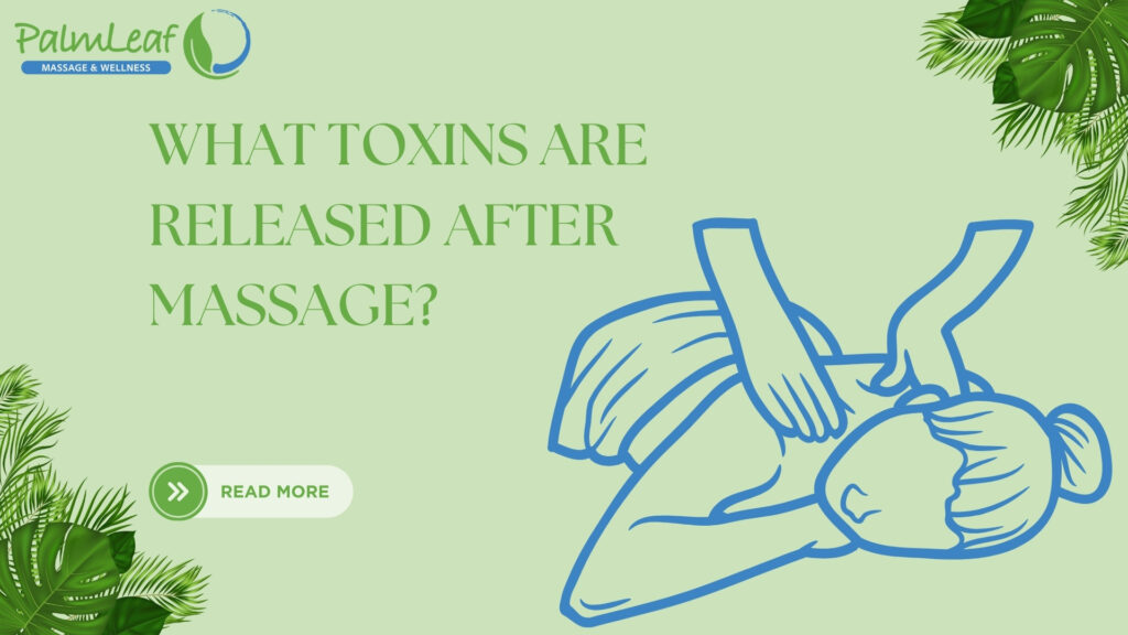 What Toxins Are Released After Massage – Visual of Therapeutic Shoulder Massage Promoting Lymphatic Drainage and Detoxification